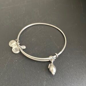 Alex and Ani bracelet